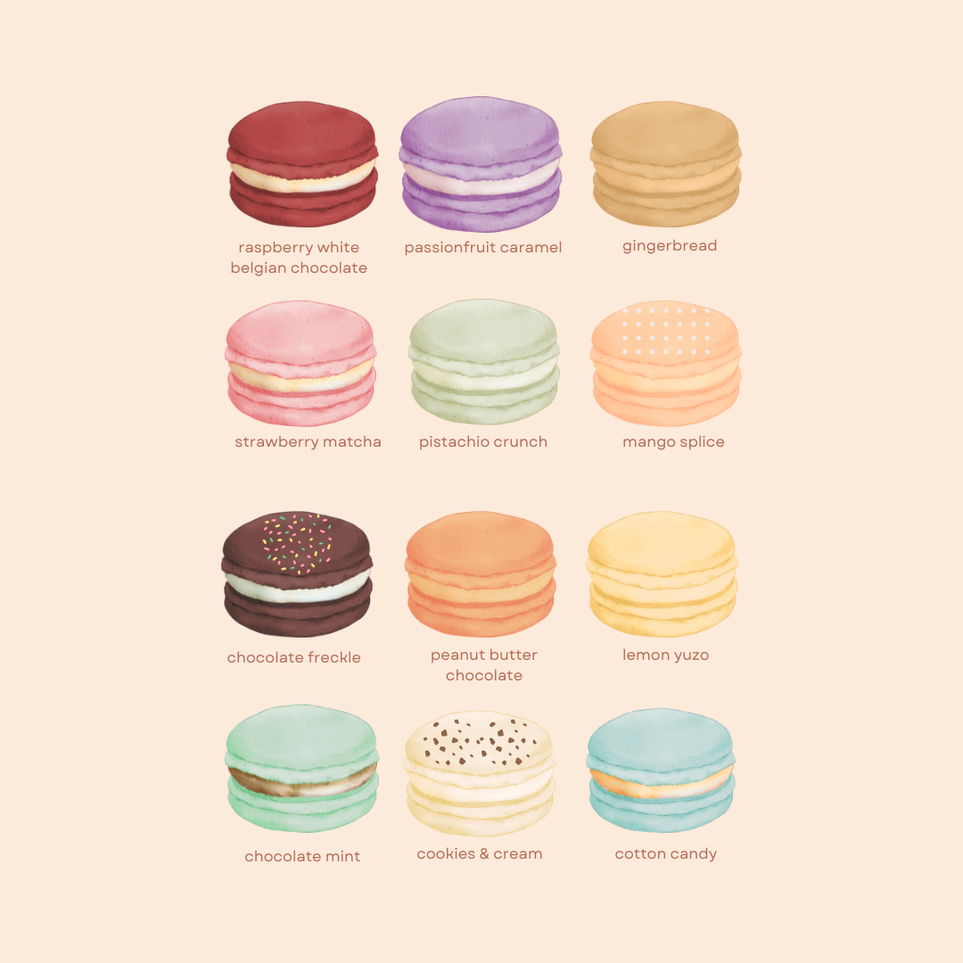 Christmas French Macaron Gift Box