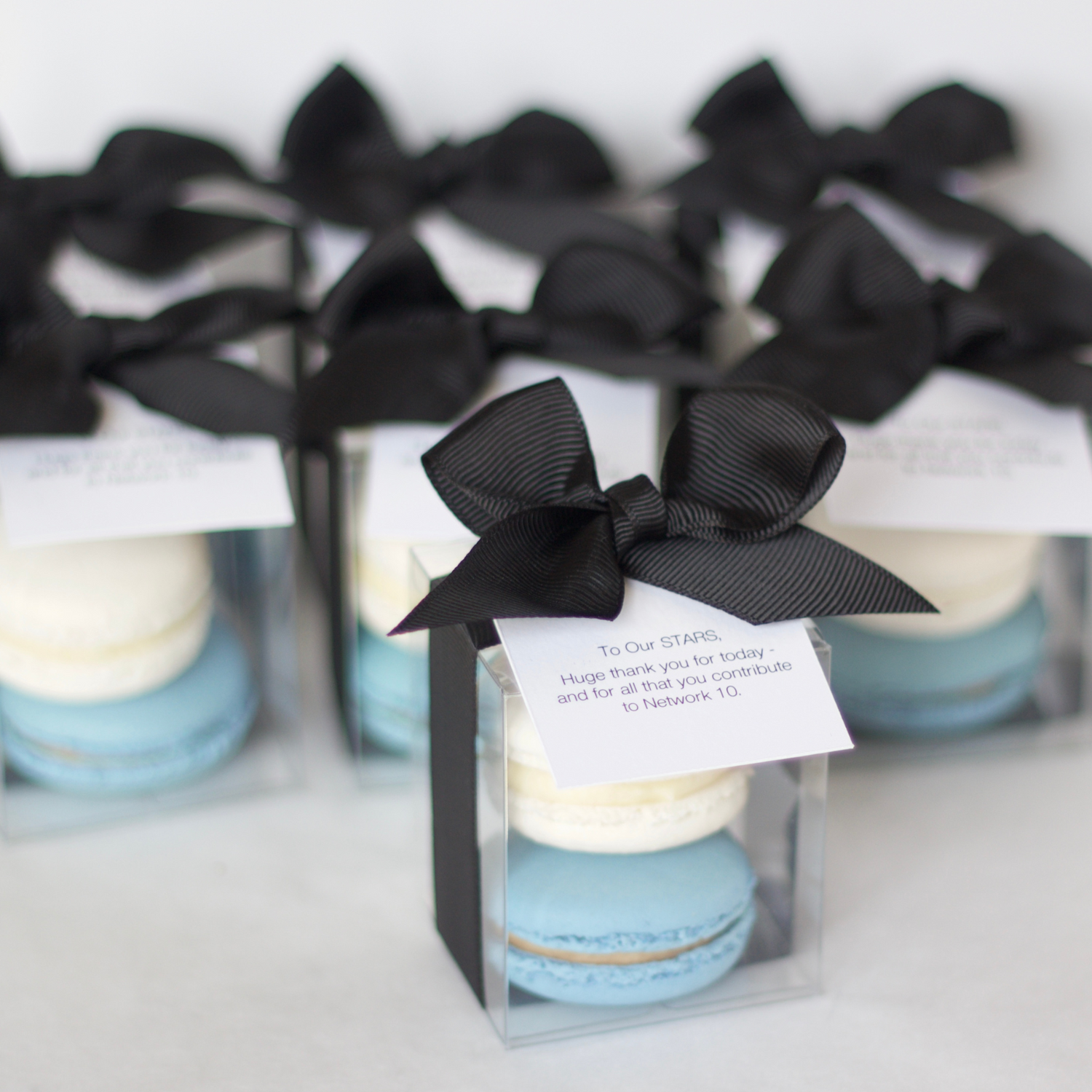 Macaron Gift Favour | 2 pk