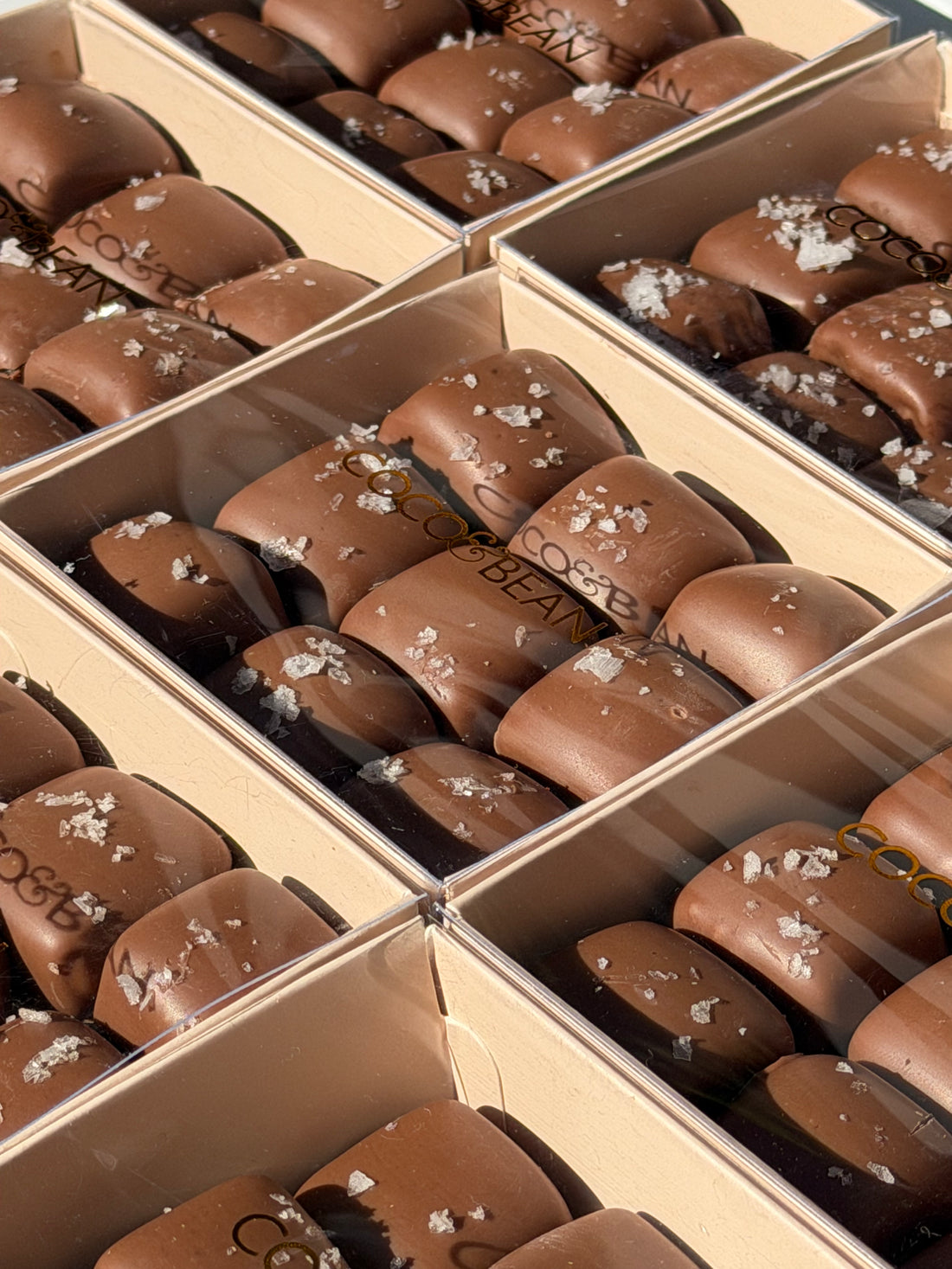 Salted Caramels